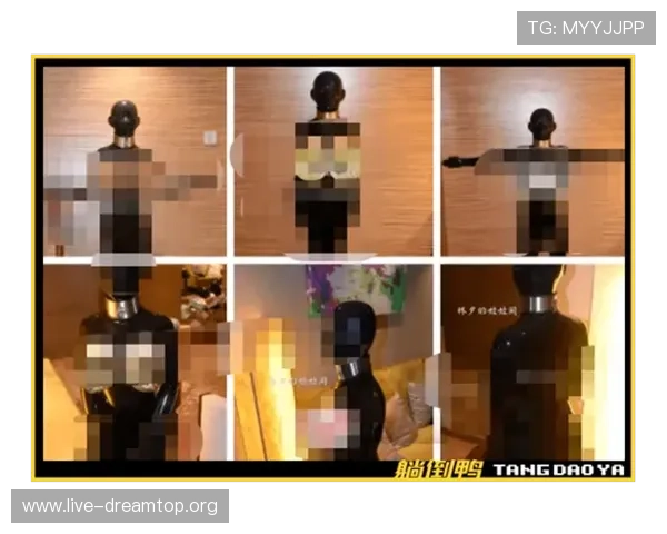 hg真人厅游戏攻略大全，帮助新手快速上手提升胜率的实用技巧指南