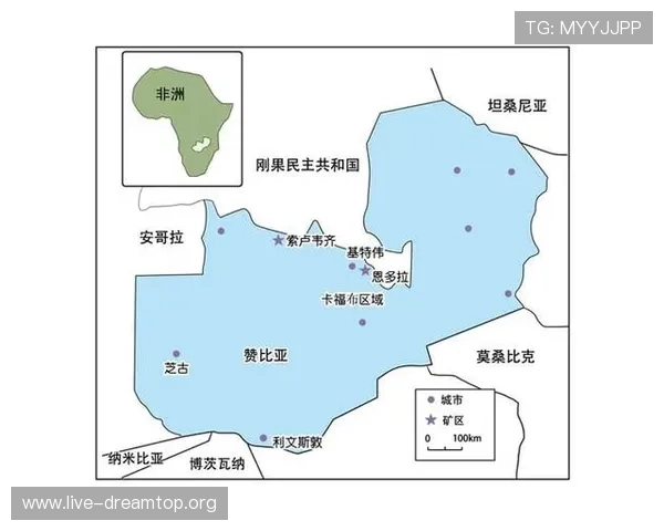哥伦比亚对民主刚果比赛战术变化及赛前战术布置详细解读